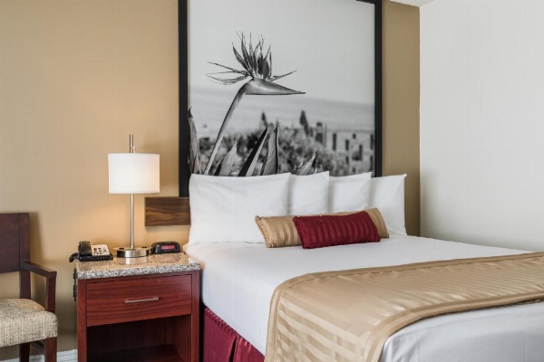 Kings Inn Anaheim at The Park & Convention Center image 15